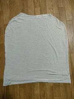 Item thumbnail for item 2a188d86-97ad-4016-9e66-4cf74b7cd04f