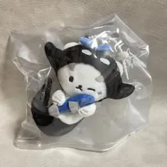 ポルカサン TAYNEW キーホルダー GMM polcasan ポルカサン TAYNEW キーホルダー GMM polcasan - メルカリ