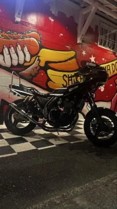 zrx400 プリティーレーシング　改　りゅうくんさん専用 517ngkIU2RL._UF894,1000_QL80_.jpg