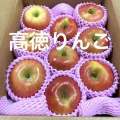 ■【山形県産】高徳りんご 9玉 15