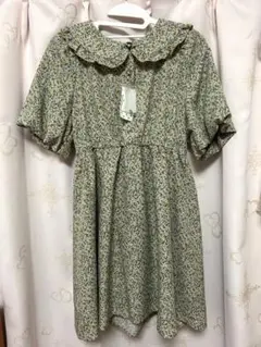 Item thumbnail for item a4281b93-0ce7-42a0-bebc-479785d6e457