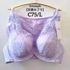 Item thumbnail for item 3c4c578e-297f-49b3-909e-7ab6d3e5edae