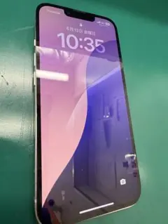 Apple iPhone 13 純正パネル