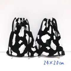 Item thumbnail for item 86a1612a-2669-407e-a402-ff3166c5690c