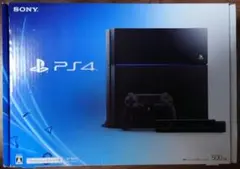 SONY PlayStation4 CUH-1000AA01カメラ&電源コード付