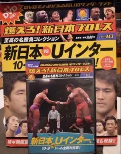 燃えろ！新日本プロレスvol.10 武藤敬司 東京ドーム 新日本vsUインター