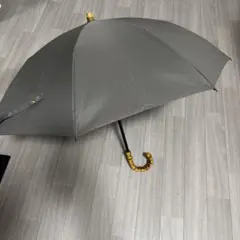 アントゥーレ　2段2WAY 折りたたみ日傘(50cm)/ワンカラー