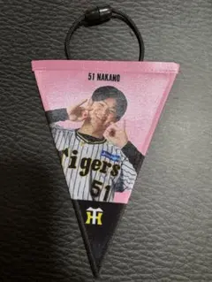 阪神タイガース 中野選手