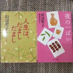 ＃田辺聖子 作品2冊セット