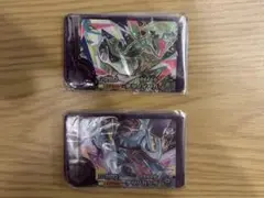 ポケモンフレンダ テツノイサハ テツノカシラ テラスタル