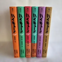 ハイキュー!! ショーセツバン!! 1〜6巻　全巻　文庫版