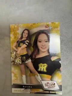 Item thumbnail for item 000e3fc6-4f64-41c6-a80a-bd6e97c270c9