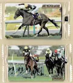 ✰︎競馬 EPOCH HORSE RACING シャケトラ 田辺裕信 直筆サイン✰︎ ✰︎競馬 EPOCH シャケトラ 田辺裕信 直筆サイン入り✰︎