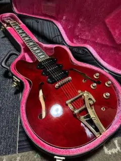 2025年最新】epiphone rivieraの人気アイテム - メルカリ
