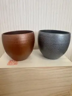 Item thumbnail for item b4f8ce67-f81b-40c6-824b-1f98e56b4da9