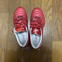 ASICS DSライトX-FLY5 25センチ