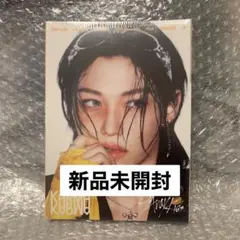 straykids KARMA 新品未開封 アコーディオン盤 フィリックス