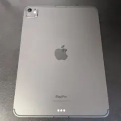 iPad Pro M4 セルラー 256GB SIMフリー 11インチ