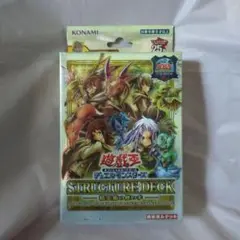遊戯王　精霊術の使い手　決闘者伝説25th仕様