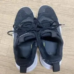 Item thumbnail for item 21733155-38a1-4a9d-a563-d6b0d2848404