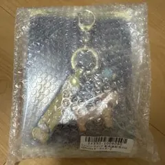 Item thumbnail for item b08cffb7-34a7-4f71-91cb-2e2372f465fb