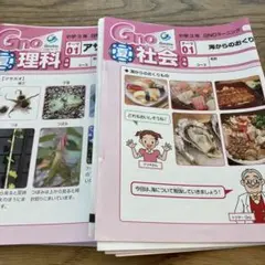 グノーブル　夏期特別特訓　女子学院　2023夏 2025年最新】グノーブル 夏期講習の人気アイテム - メルカリ