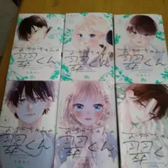 お姉ちゃんの翼くん 　1〜5巻7巻 　6冊セット