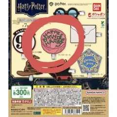ハリー・ポッター カプセルヘアクリップ　バースデーケーキ　未開封