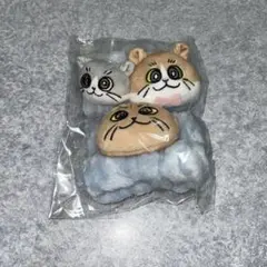 【新品未使用】パにゃイ 猫達リストバンド かすたそ かす まあたそ