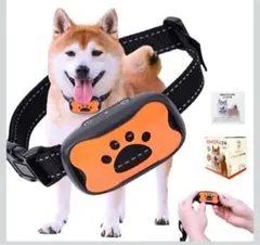 Item thumbnail for item 3a121792-8230-4193-b358-91c80bb1a4c3