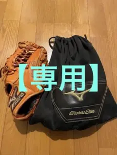 ミズノ ビクトリーステージ 右投(グラブ袋付属)