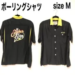 Item thumbnail for item 32f02b3b-8e4d-44d8-ae57-a2076072dab3