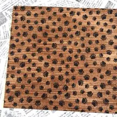 USAコットンシーチング生地 WINDHAM FABRICS 2m