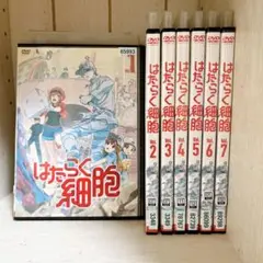 はたらく細胞　DVD全巻セット　（本編全7巻）