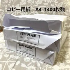 コピー用紙　A4 500枚×2＋400枚強