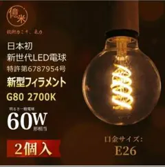 売れてます❣️G80 LEDフィラメント電球 2700K 2個入 60形