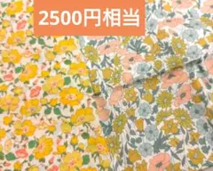 2500円相当　リバティ　タナローン2枚セット