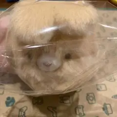 ぶるぶるうさぴょん かけっこ