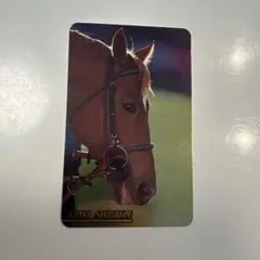 Item thumbnail for item e7c3bed2-7cd8-4366-b6c0-62535a5e5121