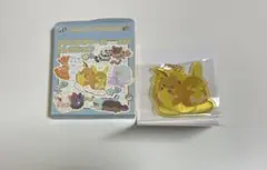 ポケモンにたものどうしアクリルキーホルダー（ライチュウ）