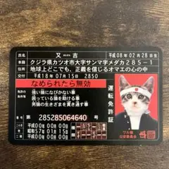 【希少】なめ猫　免許証　コロコロコミック付録