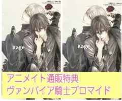 LaLaDX 9月号 アニメイト通販特典 ヴァンパイア騎士 ブロマイド2枚