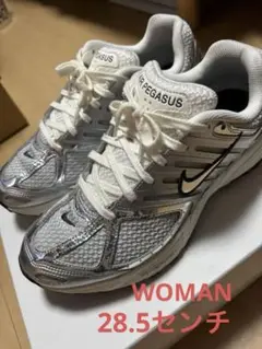 美品　NIKE W AIR PEGASUS 2005 エアペガサス