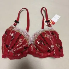 Item thumbnail for item 61b1d09d-48a5-4d1b-86a8-597b7a87dabe