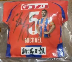 新潟アルビレックス MICHAEL選手サイン入りマッチデークッション
