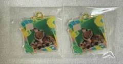 straykids スキズ toyworld アイエン アクリルキーホルダー