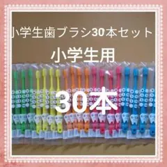 【502】歯科専売　小学生歯ブラシ　ふつう30本