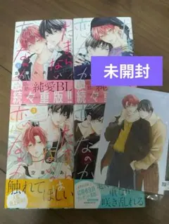 たまらないのは恋なのか 小冊子未開封付き 即購入️❌