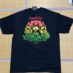 STUSSY スカル　Philadelphia Ltd Tee Tシャツ L