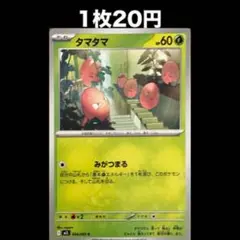 【1枚20円】ポケモンカード タマタマ(在庫3)